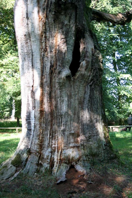 Killikus® Fotographie Killikus® Fotographie